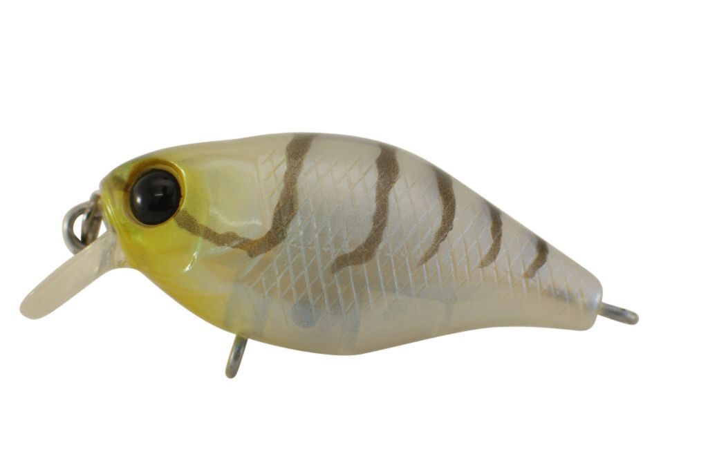 Jackall Chubby 38 Shallow Hard Body Fishing Lures BRAND NEW @ eBay Fishing Tackl - Picture 2 of 21
