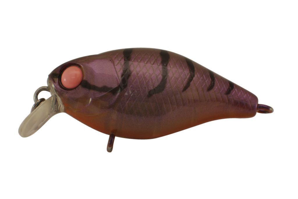 Jackall Chubby 38 Shallow Hard Body Fishing Lures BRAND NEW @ eBay Fishing Tackl - Picture 4 of 21