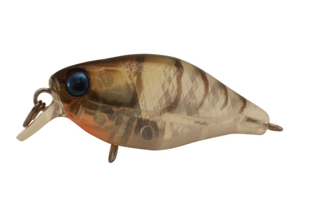 Jackall Chubby 38 Shallow Hard Body Fishing Lures BRAND NEW @ eBay Fishing Tackl - Picture 6 of 21