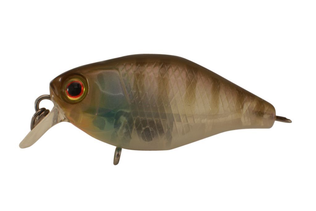 Jackall Chubby 38 Shallow Hard Body Fishing Lures BRAND NEW @ eBay Fishing Tackl - Picture 7 of 21