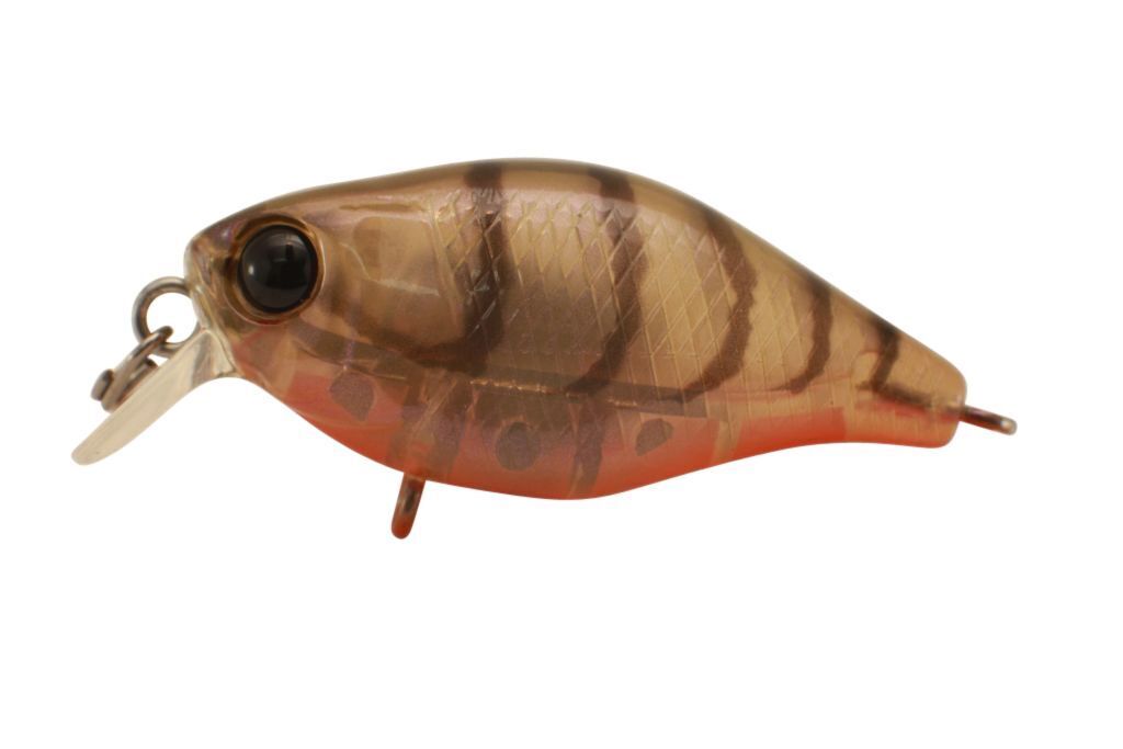 Jackall Chubby 38 Shallow Hard Body Fishing Lures BRAND NEW @ eBay Fishing Tackl - Picture 8 of 21