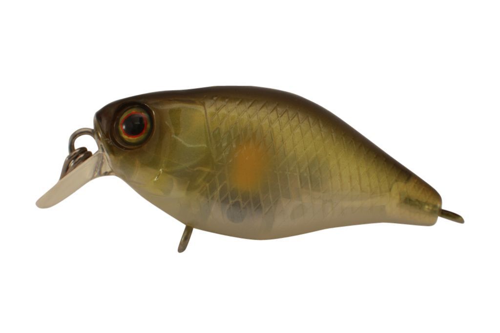 Jackall Chubby 38 Shallow Hard Body Fishing Lures BRAND NEW @ eBay Fishing Tackl - Picture 9 of 21