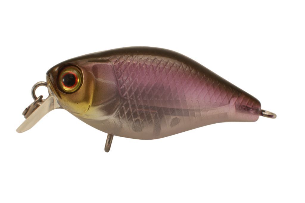Jackall Chubby 38 Shallow Hard Body Fishing Lures BRAND NEW @ eBay Fishing Tackl - Picture 11 of 21