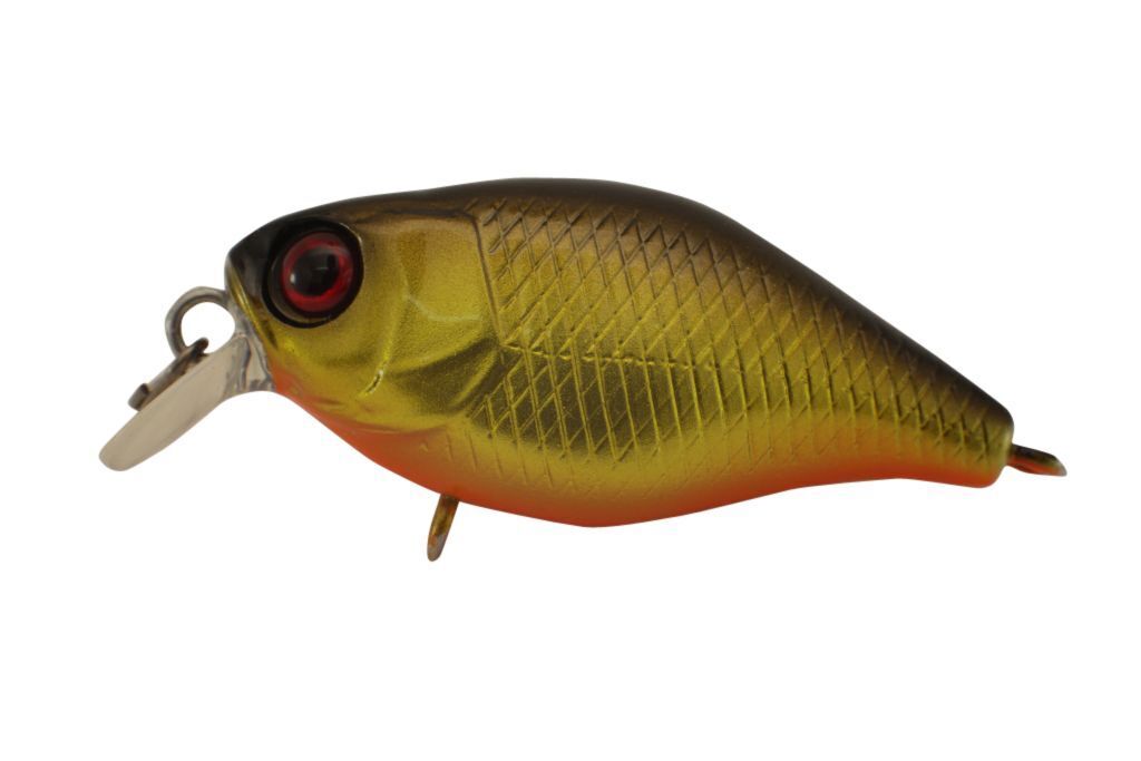 Jackall Chubby 38 Shallow Hard Body Fishing Lures BRAND NEW @ eBay Fishing Tackl - Picture 13 of 21