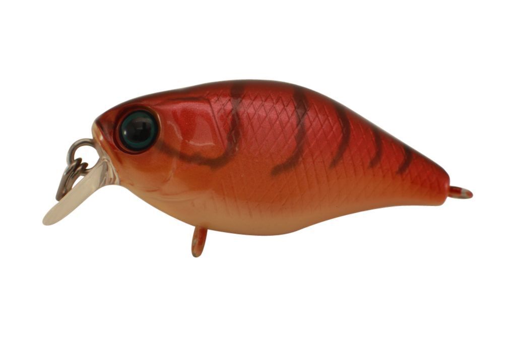 Jackall Chubby 38 Shallow Hard Body Fishing Lures