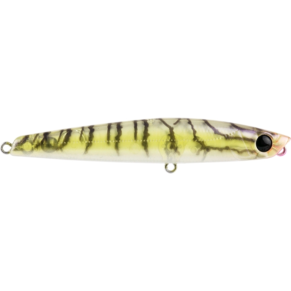 bassday sugapen whiting