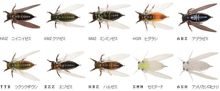 Jackson Namazemi Cicada Flottant Leurre ASH (5039) - FR