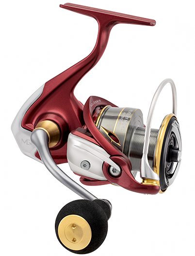 Daiwa 2500 on sale