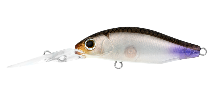 Daiwa 2021 Infeet Spike 44 MR Hard Body Fishing Lure - Choose Colour BRAND NEW @ - Picture 4 of 13