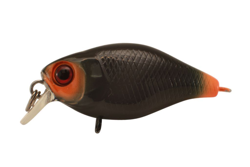 Jackall Chubby 38 Shallow Hard Body Fishing Lures BRAND NEW @ eBay Fishing Tackl - Picture 15 of 21