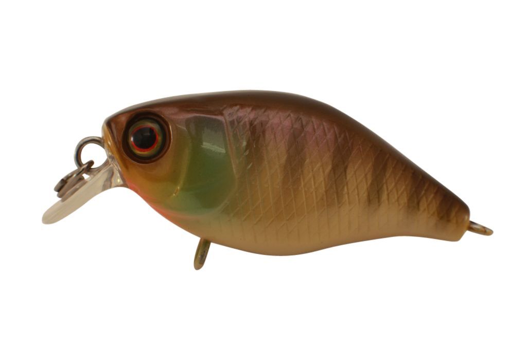 Jackall Chubby 38 Shallow Hard Body Fishing Lures BRAND NEW @ eBay Fishing Tackl - Picture 16 of 21