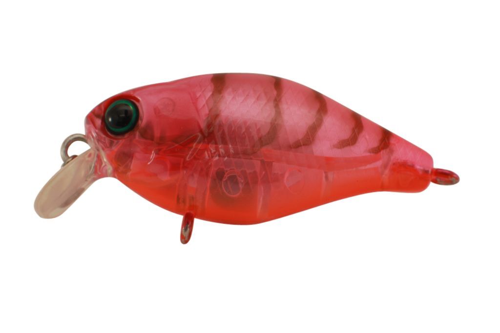 Jackall Chubby 38 Shallow Hard Body Fishing Lures BRAND NEW @ eBay Fishing Tackl - Picture 17 of 21