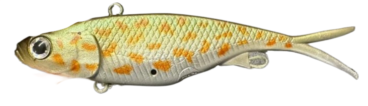 Jackall Transam 95mm 20g Soft Vibe Fishing Lure - Choose Colour BRAND NEW @ eBay - Picture 17 of 38