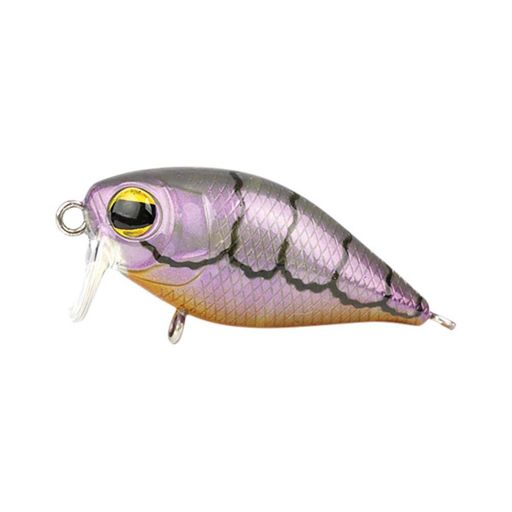 Pro Lure XS36 Extra Shallow Crankbait Hardbody Fishing Lure #Violet Shrimp