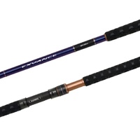 Shimano 2024 Exvance Series Surf Spinning Fishing Rod - Choose Model