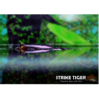 Strike Tiger 1.5" Trout Frog Soft Plastic Fishing Lure - Choose Colour