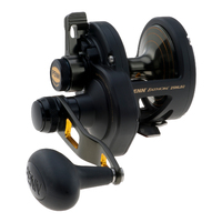 Discontinued - Penn Fathom Lever Drag 2 Speed Overhead Fishing Reel #FTH25NLD2