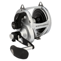 Penn Fathom II 25N 2 Speed Lever Drag Overhead Fishing Reel #FTHII25NLD2