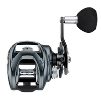 Daiwa 2021 Lexa TW 300 P Baitcast Fishing Reel