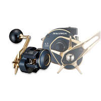 Daiwa 2021 Saltiga IC 300 Overhead Fishing Reel