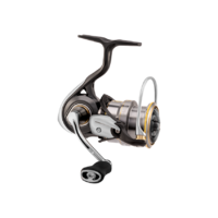 Daiwa 2021 Luvias Airity FC LT 1000 S-P Spinning Fishing Reel